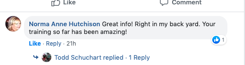 LinkedIn Testimonial screenshot